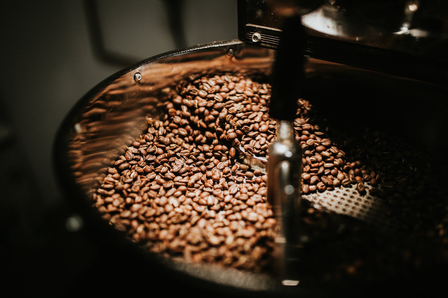 shallow focus photo of coffee beans