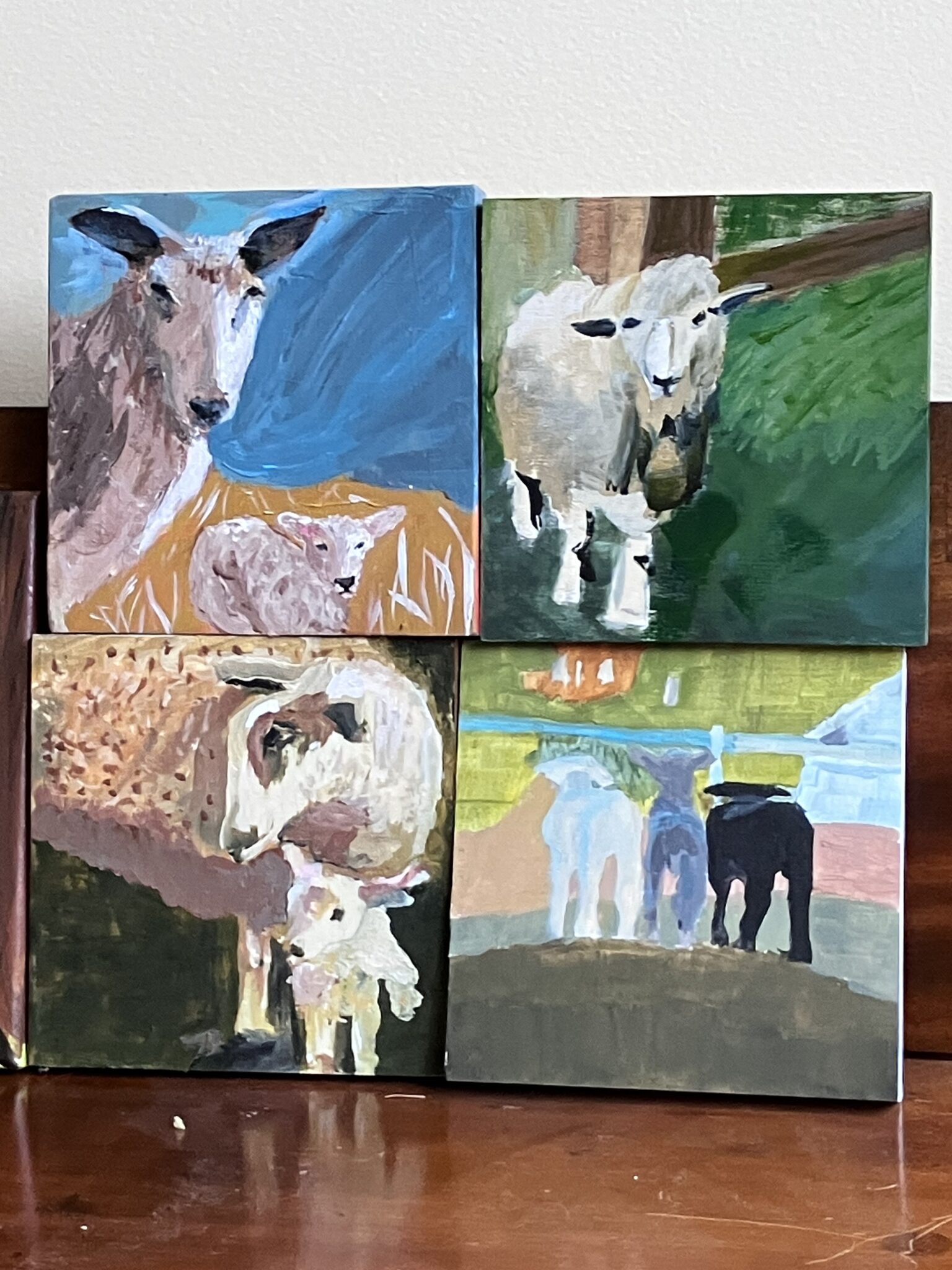 Adult Classes Fall Fiber Festival & Montpelier Sheep Dog Trials